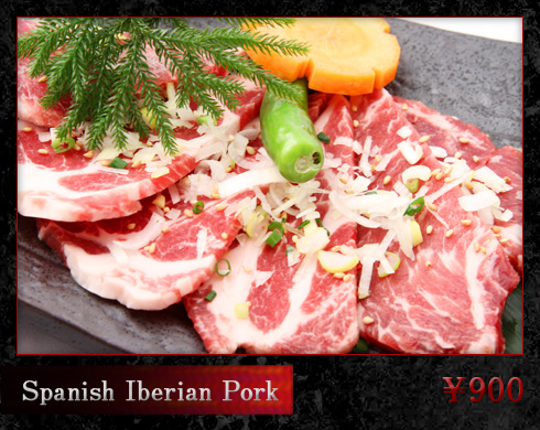 SPANISH IBERIAN PORK